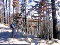 Thumb_0735-AngoraBurn-1-JenSteve.jpg 11.3K