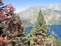 Thumb_0742-CampFromFireLookout-2.jpg 10.6K