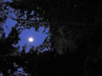 Thumb_0758-MoonOverPonderosaC-2.jpg 4.5K