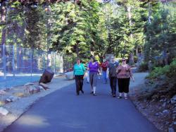 09006-ReturningFromSocialHike.JPG 177.7K