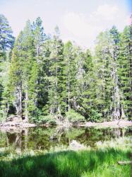 09022-LakeNearCathedralLake.JPG 203.7K