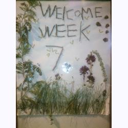 10000-WelcomeSign.jpg 150.4K