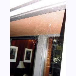 10011-SpiderArt.JPG 109.8K