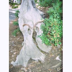 10012-WitchOfWitchesPond.JPG 212.5K