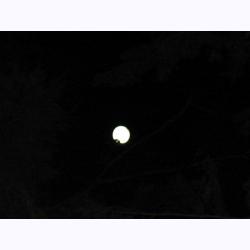 10025-DeckMoon.JPG 35.7K