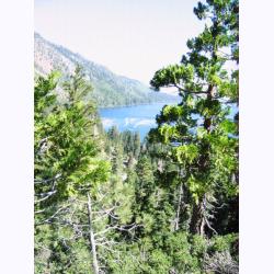 10031-AngoraRidgeHikeView.JPG 163.8K