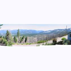 10040-OldFireAreaPanorama.JPG 222.5K