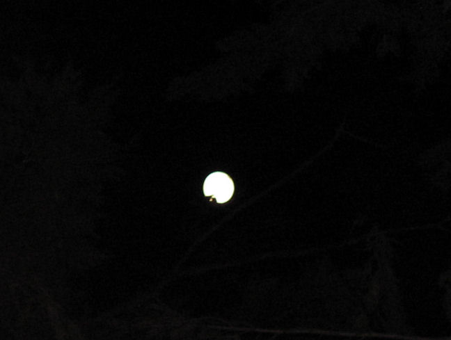 10025-DeckMoon.JPG 35.7K