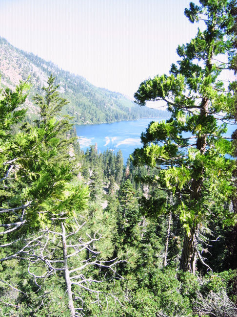 10031-AngoraRidgeHikeView.JPG 163.8K