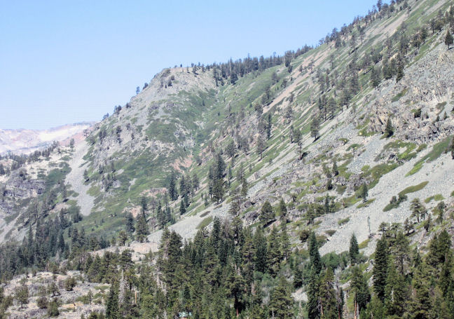 10034-MidTallacFromAngoraTrail.JPG 110.8K