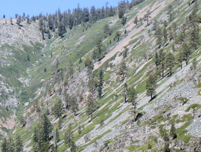 10035-MidTallacTrail-FromAngoraTrail.JPG 123.4K