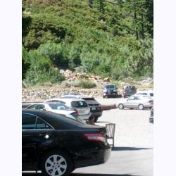 12-040-CampParkingLot.jpg 95.8K