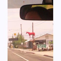 13-004-Portal.jpg 90.8K