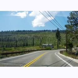 13-013-OffSawmill-IntoFallenLeaf.jpg 116.2K