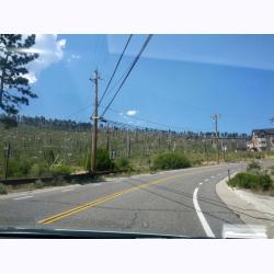 13-014-BurnArea.jpg 109.3K