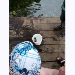 13-030-Alice&Crawdads.jpg 114.3K