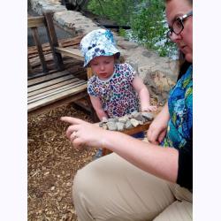 13-031-AlicesRockCollection.jpg 153.3K