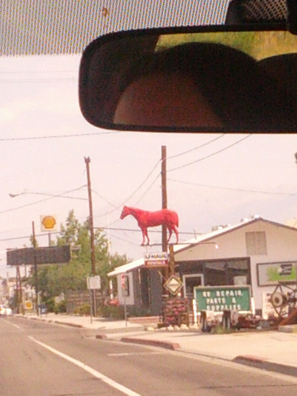 13-004-Portal.jpg 90.8K