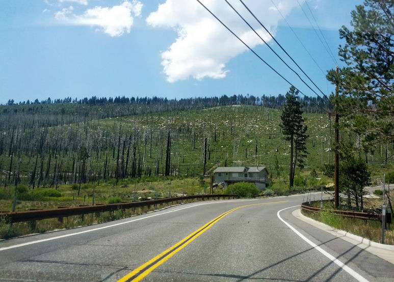 13-013-OffSawmill-IntoFallenLeaf.jpg 116.2K