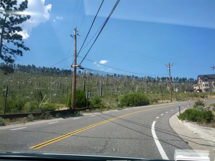 13-014-BurnArea.jpg 109.3K