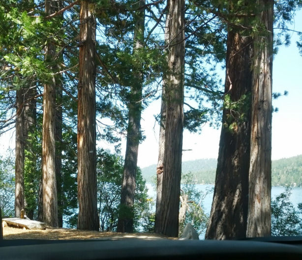 13-020-THELAKE.jpg 127.7K