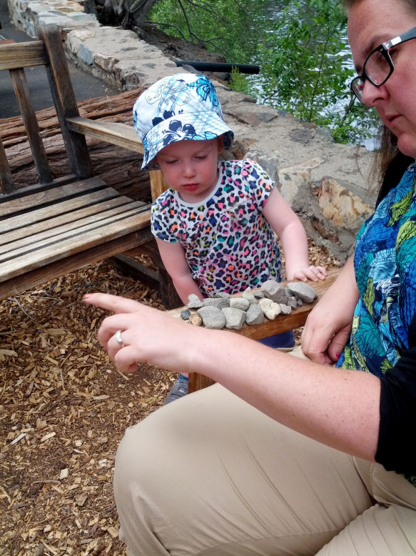 13-031-AlicesRockCollection.jpg 153.3K