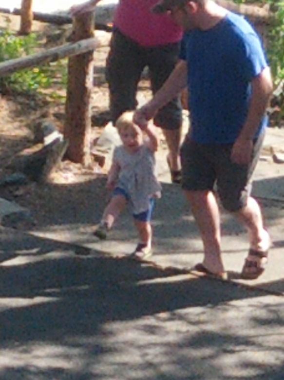 13-032-A;oceSteveUpFromBoatDock.jpg 87.5K