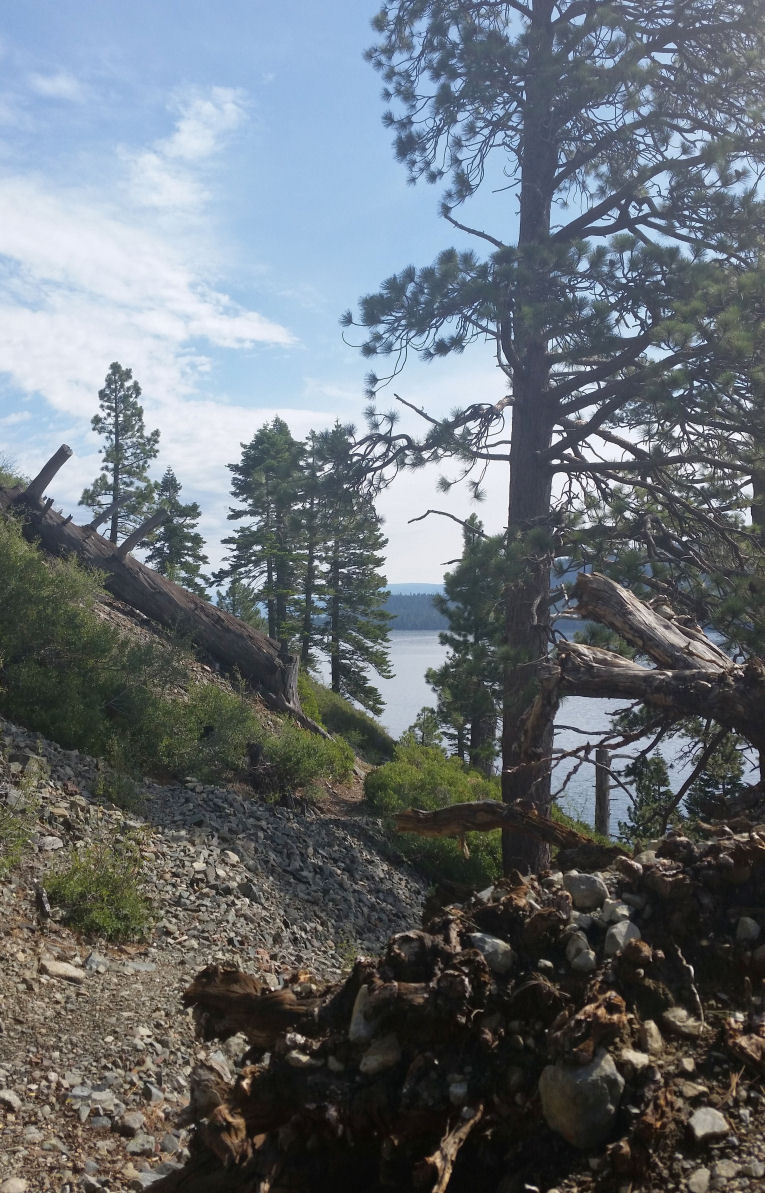 14-042-TamarackTrail.jpg 254.3K