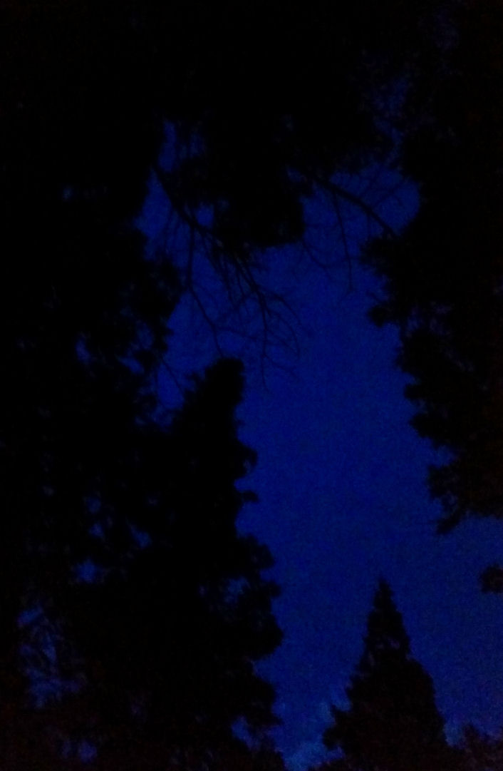 14-054-NightSkyView.jpg 67.2K