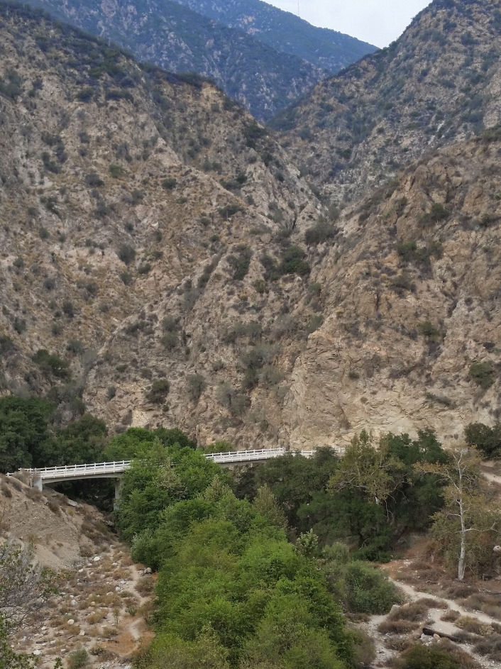 14-072-HomewardDetour3.jpg 193.5K