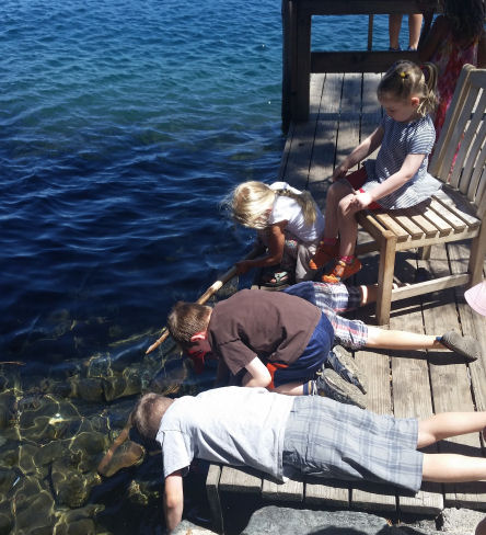 15-040-A-SupervizingCrawdadCatching.jpg 80.9K