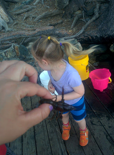 15-045-A-GotOne.jpg 58.9K