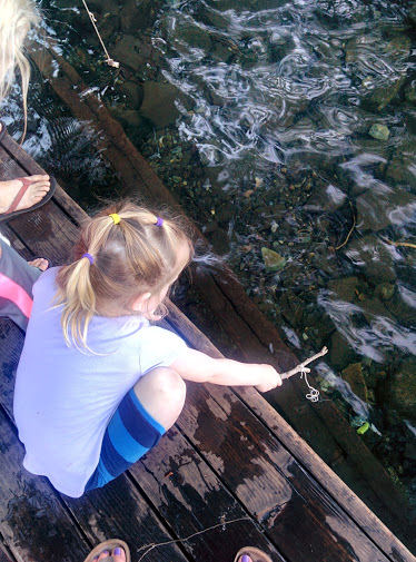 15-046-A-GonnaGetAnother.jpg 83.3K