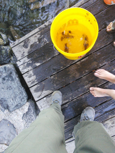 15-047-A-CrawdadHaul.jpg 74.3K