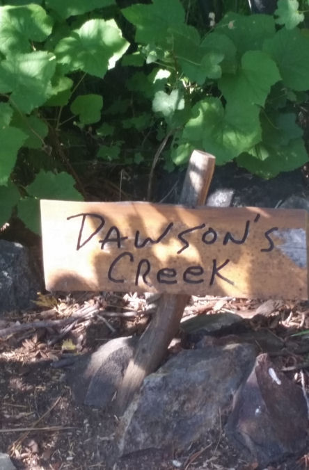 15-066-CampCreek.jpg 74.5K