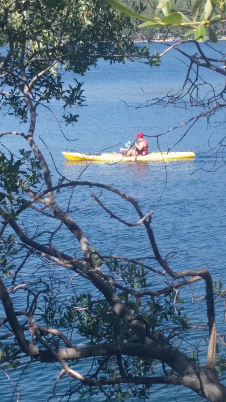 2016-165-Boating.jpg 286.7K