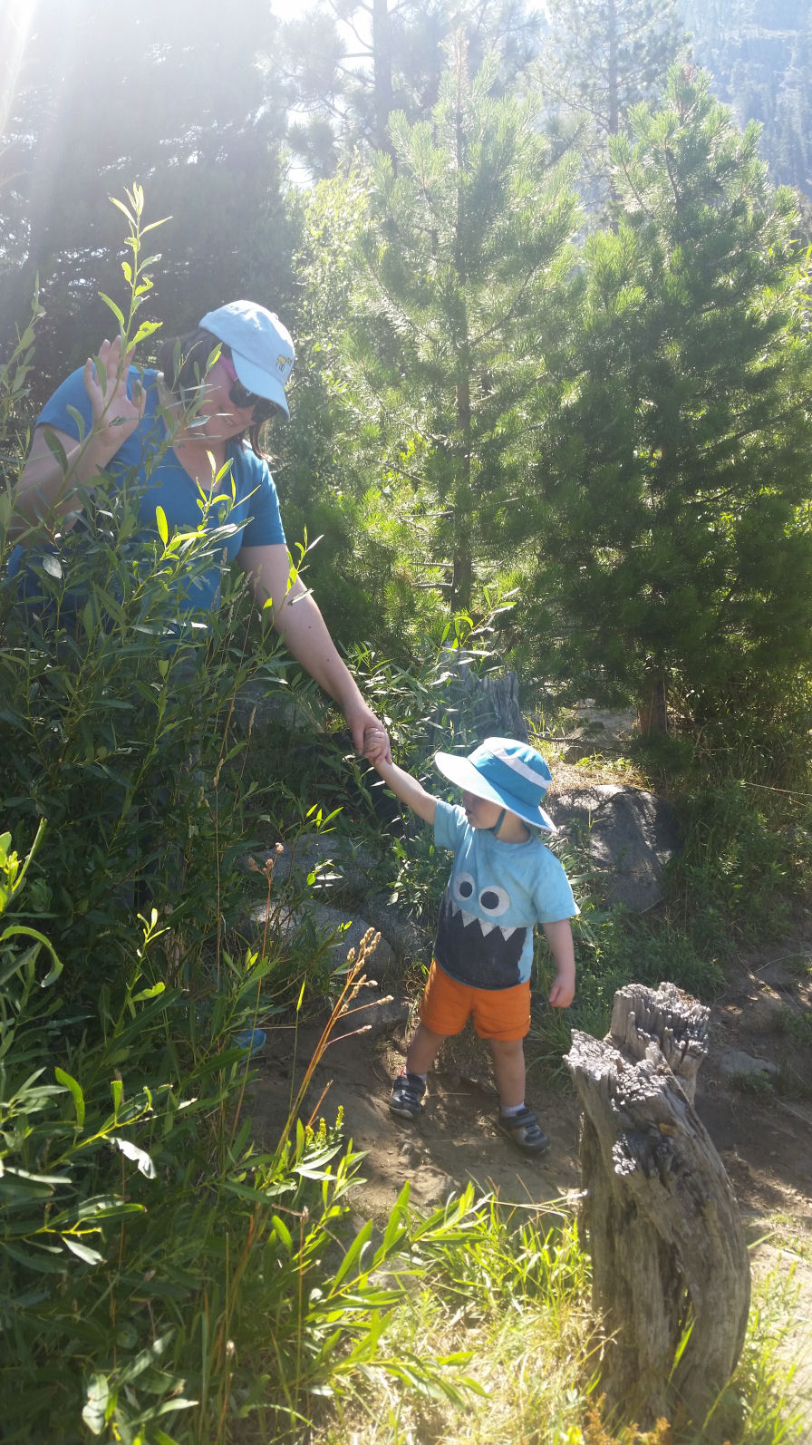 2016-181-J-R-LilyLake.jpg 393.8K