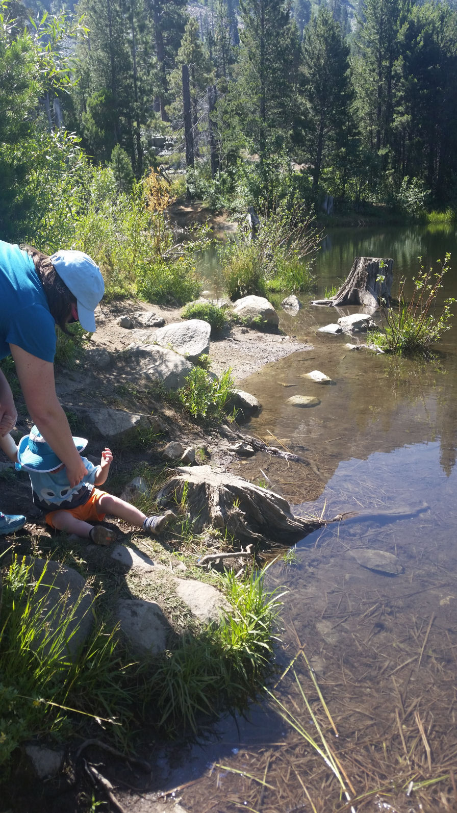 2016-182-J-R-LilyLake.jpg 447.1K