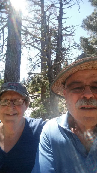 2016-201-R-L.jpg 63.6K