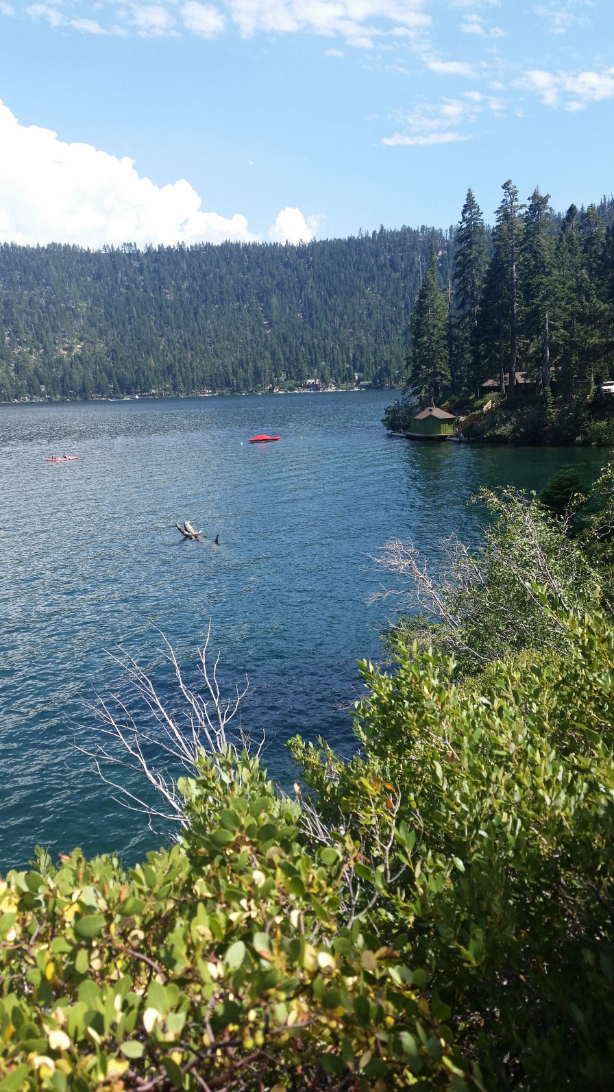 2016-251-CampView.jpg 408.2K