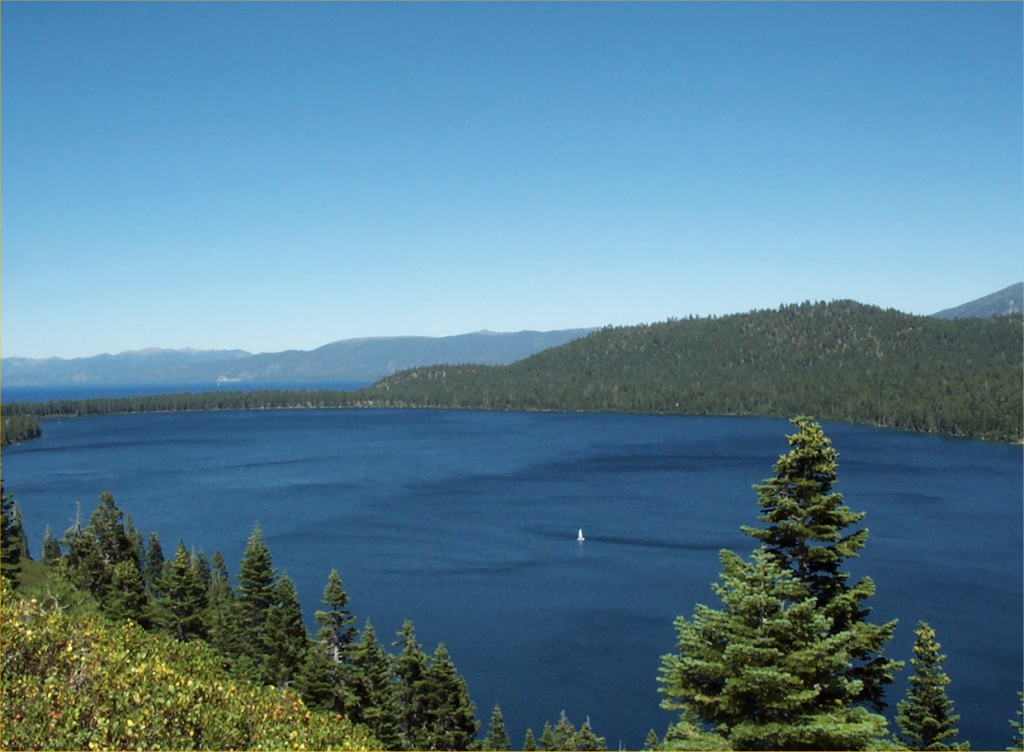 03-FallenLeaf2001.bmp 2256.1K