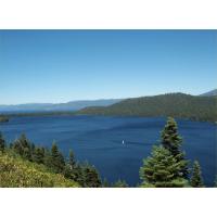 03-FallenLeaf2001.bmp 2256.1K