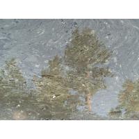 0975-TreeReflectedInPollenOnPuddle-2003.bmp 2250.1K