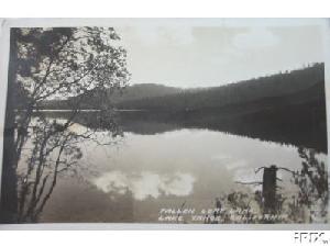 FallenLeaf1939.jpg 11.0K