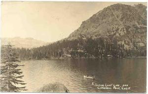 FallenLeafCathedral1920.jpg 11.4K