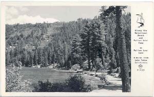 FallenLeafMarina-1955.jpg 15.6K