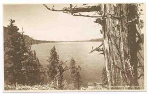 LakeFromSouthEnd-1920s.jpg 12.8K