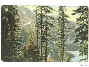 fallenLeaf1909.jpg 17.4K