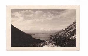 fallenLeafFromAboveLily.jpg 7.0K