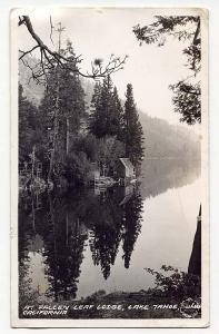 fallenLeafPoint.jpg 14.6K